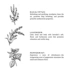 Of The Sea - Signature Candle (Eucalyptus , Lavender , Peppermint)